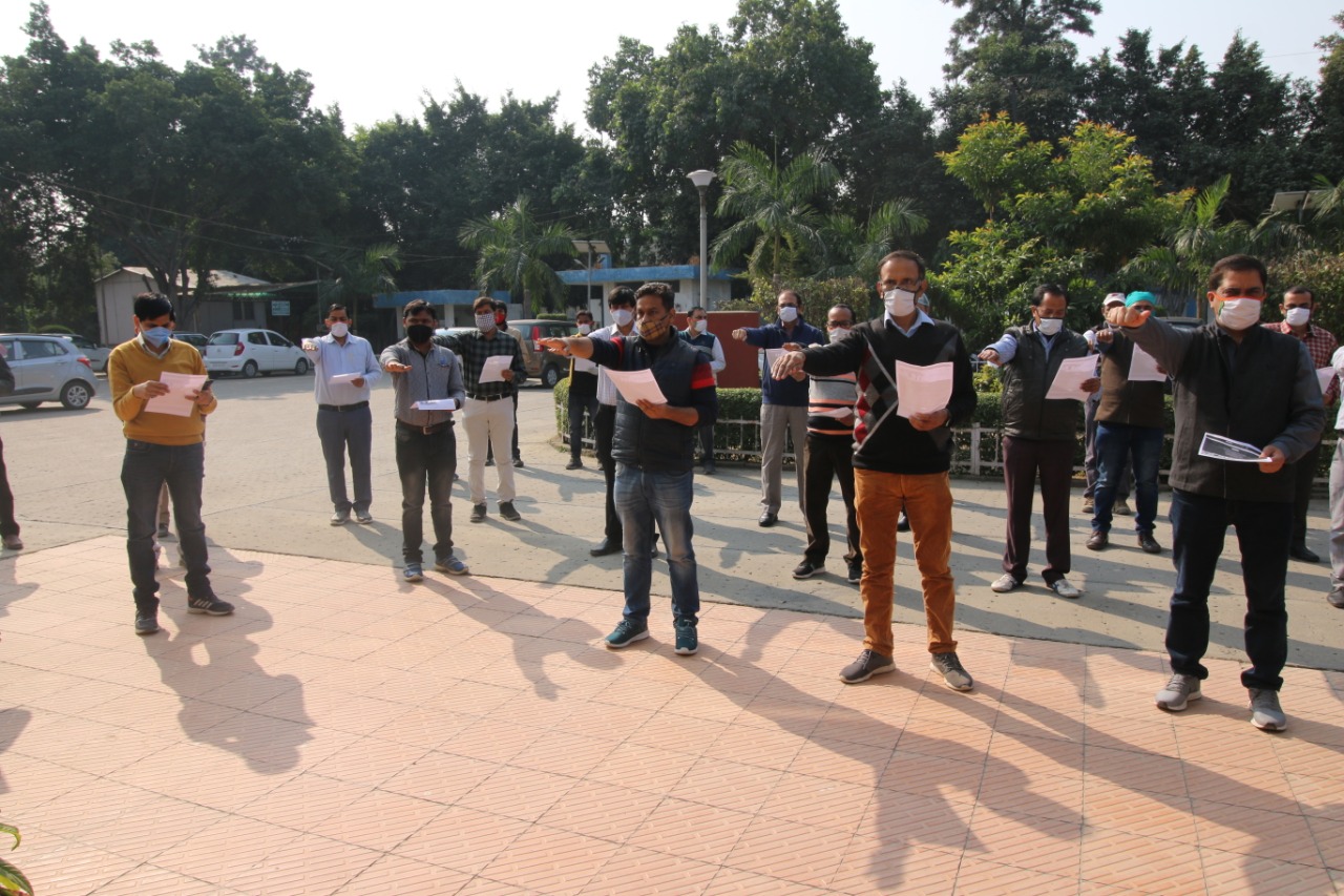 WhatsApp Image 2020-11-26 at 12.53.57 PM.jpeg