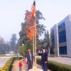 71st Republic Day on January 26, 2020 at IPC, Ghaziabad